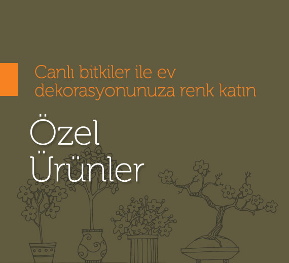 Özel bitkiler