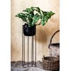 Ayaklı Saksıda Monstera Monkey Mask 65 cm